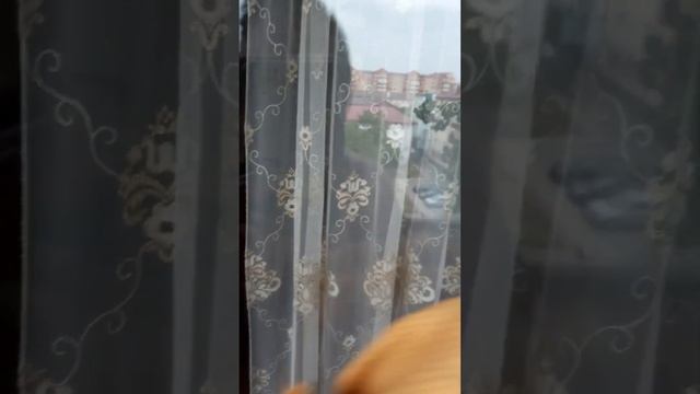 ЖАРА НЕ ПОМЕШАЛА ПОМЫТЬ СТЁКЛА БАЛКОННОЙ ДВЕРИ!!!? смотреть онлайн