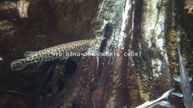 Зачем надо любить себя смотреть онлайн