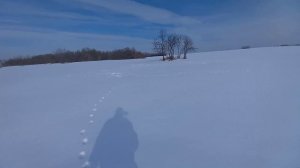 Какими аккумуляторами запускаю дизельные мотоблоки.