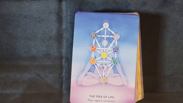 New Release: The Tree of Life Oracle by David Wells ‘UNBOXING’ смотреть онлайн
