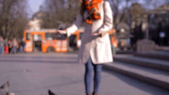 Crazy pigeons смотреть онлайн