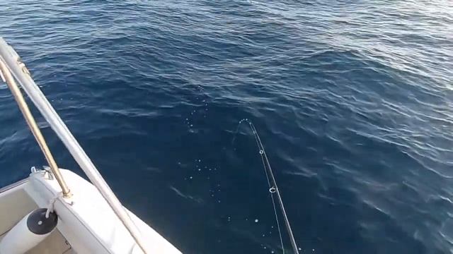 Ловля кальмаров в Испании: испытываю кальмарницы Mr. Musurok - работает! смотреть онлайн