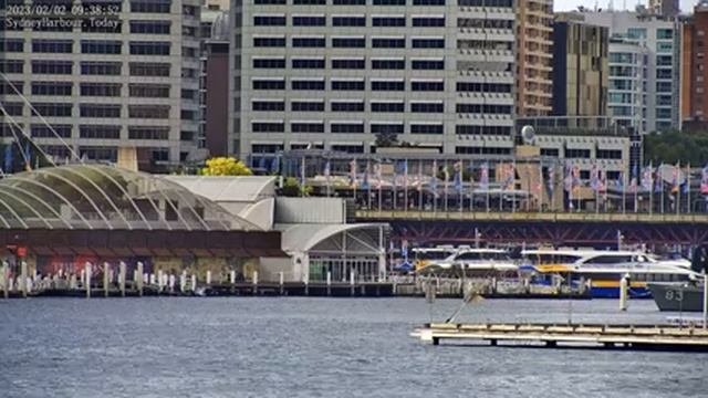 What a stunning morning. This is Sydney Summer. This is Sydney Harbour Australia 2-2-2023 смотреть онлайн