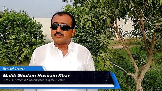 How to Grow Mentha piperita (peppermint) (Urdu) (Hindi) смотреть онлайн