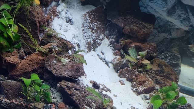 Аквариум переделал водопад смотреть онлайн