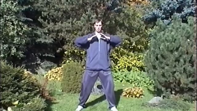 Цигун, Tайцзицюань, кунг фу // Qi gong, tai chi, kung fu смотреть онлайн