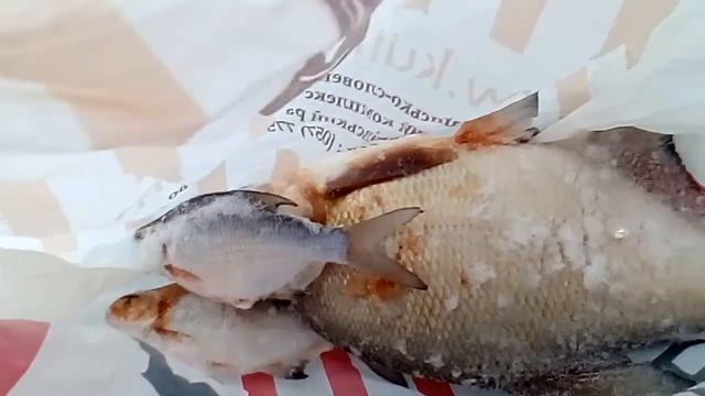 Зимнюю рыбалку март 2021 пока ещё разрешает смотреть онлайн