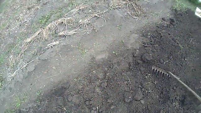 1 Сортовой картофель. Лучшие сорта в средней полосе и за Уралом смотреть онлайн