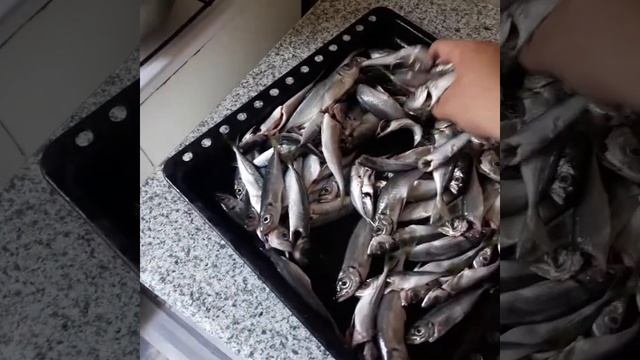 Маринад для ставриды! смотреть онлайн