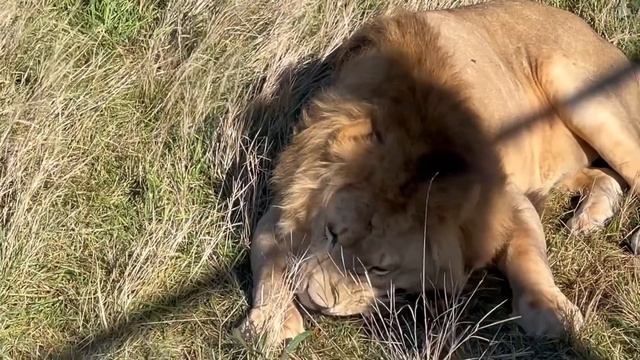 Искусство и Технологии Творчества