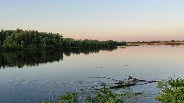 Сплав по реке Десна . Моровск-Хотяновка . смотреть онлайн