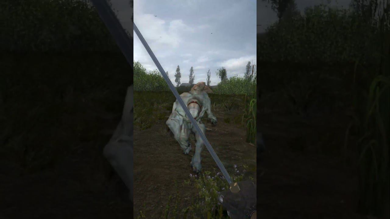 С ГОЛЫМИ ПЯТКАМИ ПРОТИВ ШАШКИ - Сталкер ОП 2.2 Mod Pack LSC short #shorts смотреть онлайн