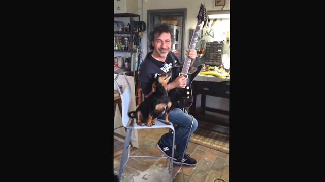 Giacomo Castellano in visita al centro rigenerante Fago-Cablepro con Migi смотреть онлайн