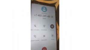 Чокопай Халяль? Можно ли есть Чокопай Мусульманам