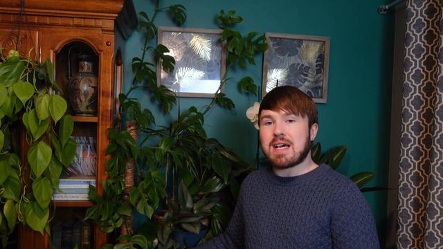 Rhaphidophora Tetrasperma Complete Care Guide + Propagation Demo