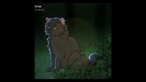 ? ВСЕ УТЕРЯННЫЕ ФАЙЛЫ "Котов Воителей" | Horror анимации | lavochka_art ?