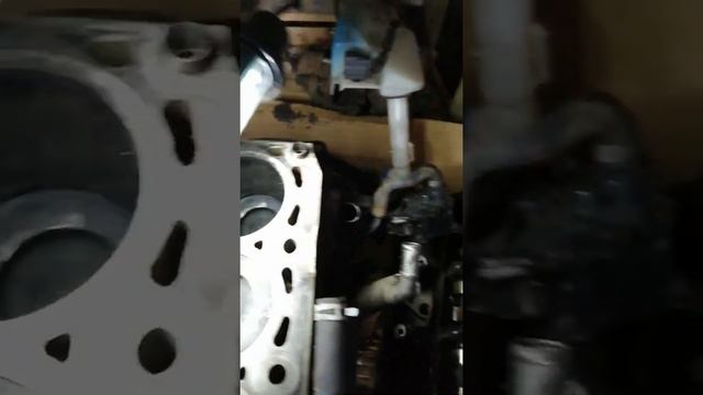 Ford Cmax wet belt failure- 2008 - 1.8 tdci - important to change this belt смотреть онлайн