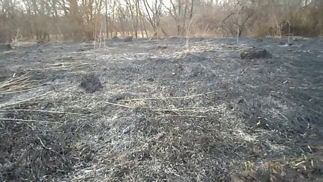 *копаю на лугу* поднял много монет смотреть онлайн