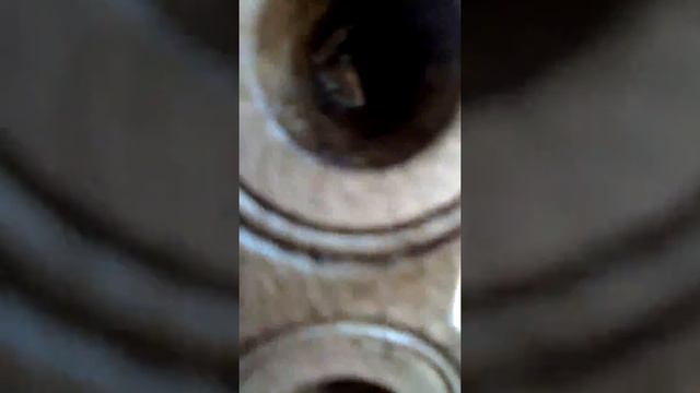 Поход в зоброшку увидели сову смотреть онлайн