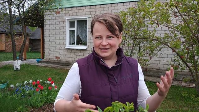 МОЯ ДЕРЕВНЯ неожиданно приятно ЗА ДЕНЬГИ НЕ ПРОДАЁТСЯ смотреть онлайн