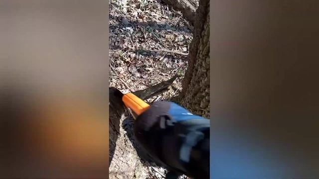 Fiskars 15" Pruning Saw with Power Tooth Blade ? Awesome Budget Option! смотреть онлайн
