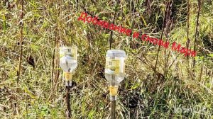 Возможности Kral Punher Maxi 3 в калибре 6,35 , на ОХОТЕ.