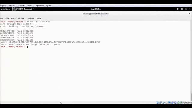 Docker: Instalando servidor Apache смотреть онлайн