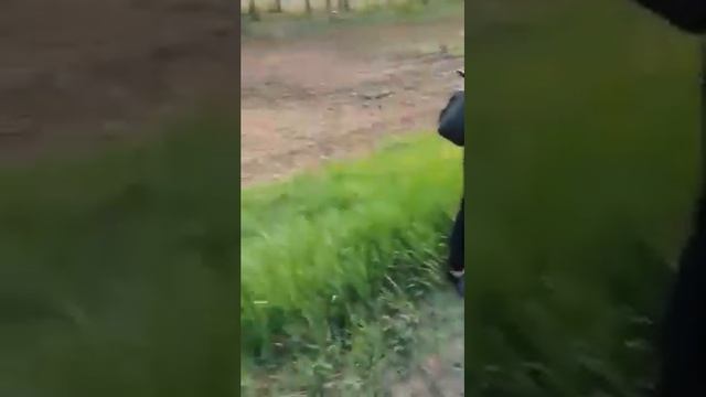 Могилев-чаусы дтп смотреть онлайн