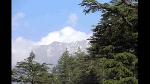 В Гималаи в 2007 году,  Индия - Бадринатх, Кедарнатх и Ганготри