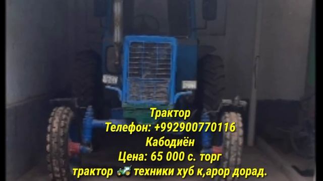 СРОЧНО ТРАКТОРХОИ ФУРУШИ АРЗОН МТЗ 80 81 82 ЮМЗ ЛАВОЛ 1204 Т28 Т40 Т 150 А 55 КАБИН / 14 11 2021 смотреть онлайн