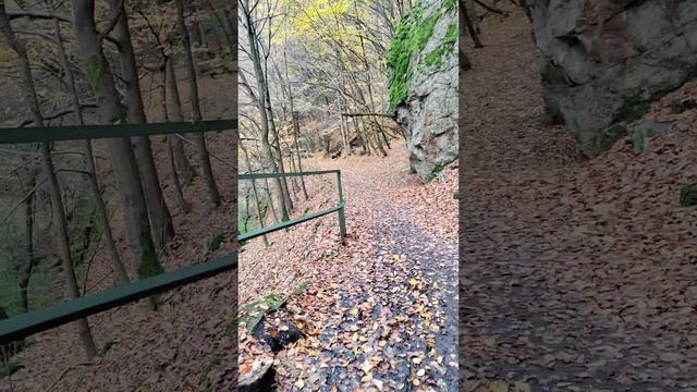 осень в Чешских горах Riegrova stezka смотреть онлайн