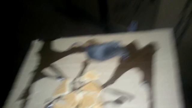 ПОЙМАЛИ ХИТРУЮ МЫШЬ | ВЫНОС ТЕЛА | КЛЕЙ ДЛЯ МЫШЕЙ Caught A Cunning Mouse