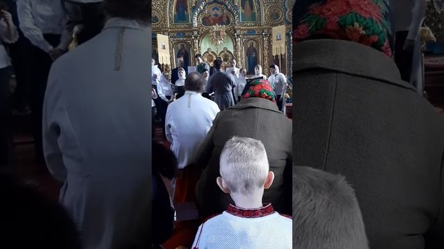 Пение хора в храме смотреть онлайн