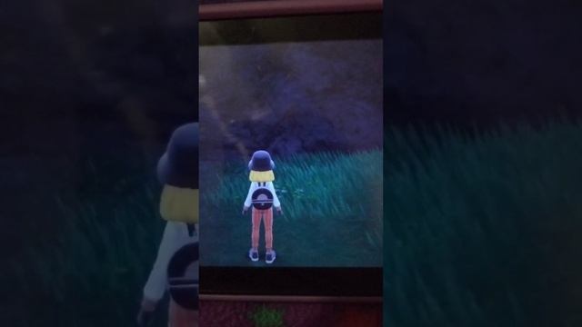 "Pokemon Scarlett is a completely normal and not buggy game" смотреть онлайн