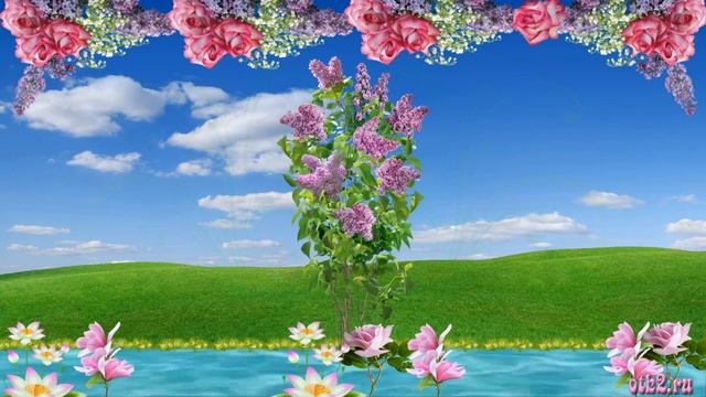 Солнышко Лесное смотреть онлайн