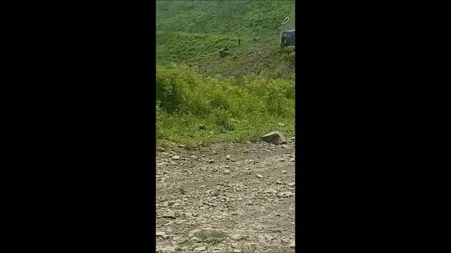 На сопке Холодильник перевернулся джип смотреть онлайн