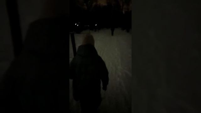 Столбы есть, а света нет! Когда восстановят уличное освещение на «школьной тропинке»? смотреть онлайн