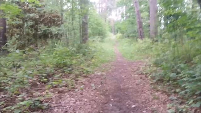 Опять везёт Поиск золота смотреть онлайн