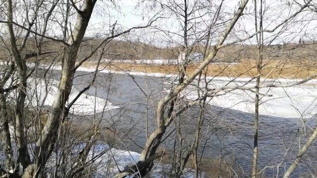Кингисепп, река Луга. 23.03.2021. смотреть онлайн
