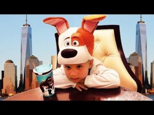 ★ Макс и Отель в Нью Йорке Влог Тайная жизнь животных The Secret Life of Pets Макс в Америке Vlog