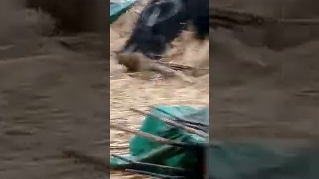 Астрахань рыбалка Тишково. смотреть онлайн