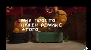 ну конечно котики мяу мяу🌸посмотри какие няшные🌼мяу мяу м 🌿я🌿 у🌿