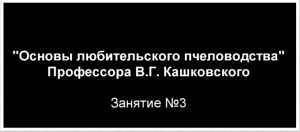 Курсы В. Г. Кашковского. Занятие №3