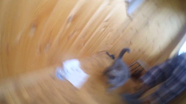 Мохнатая киска ищет господина смотреть онлайн