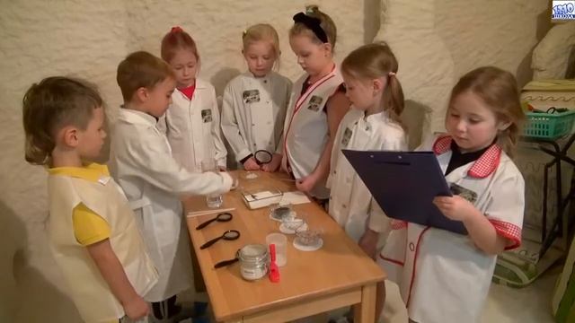 Экспериментально-исследовательская деятельность в неживой природе. ГБОУ Школа № 1210 смотреть онлайн