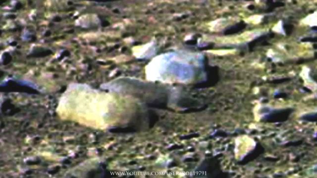 Curiosity: обнаружен марсианский грызун