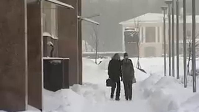 Михаил Трухин: Матвиенко - в отставку! смотреть онлайн