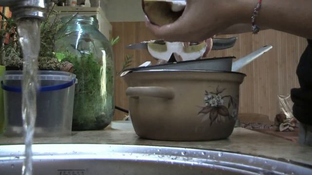 Летний день год кормит ? чищу белые грибы ❄ заморозка грибов на зиму ❄freezing of mushrooms смотреть онлайн