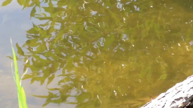 Что делать на рыбалке, когда не клюёт смотреть онлайн