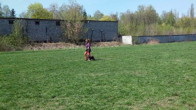 Вишня ВН 53 б 2016 04 17 смотреть онлайн
